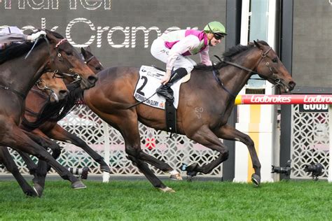 moir stakes tips|Moir Stakes Tips, Betting Odds, Past Winners and Results.